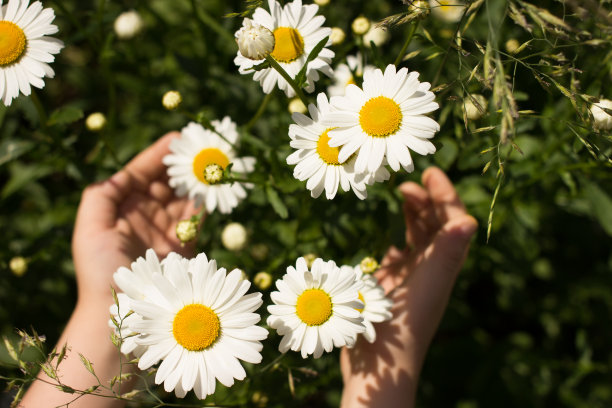 flowering