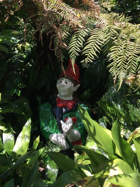 gnome