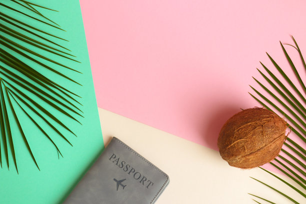 清新蓝绿棕榈叶图案背景