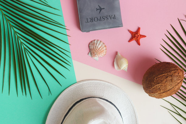 清新蓝绿棕榈叶图案背景