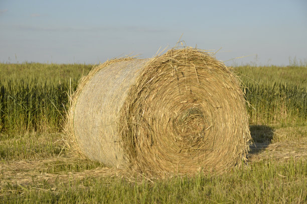 bale