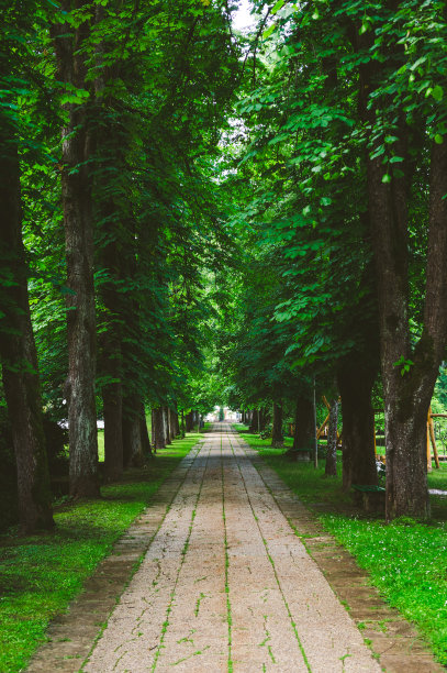 avenue