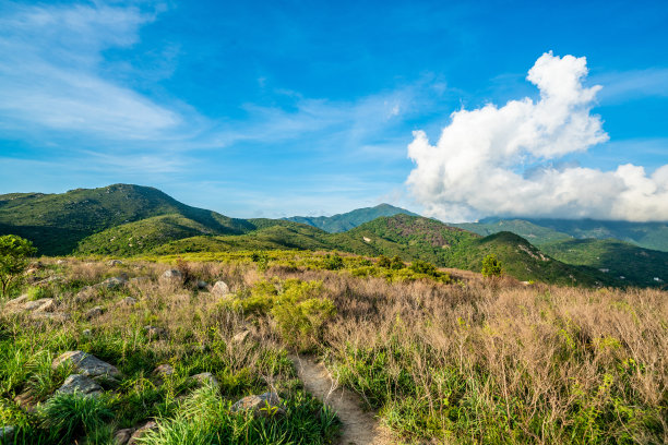 峡谷风光峭壁绿植蓝天