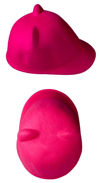 bonnet
