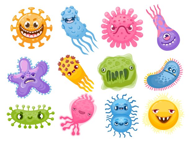 bacteria