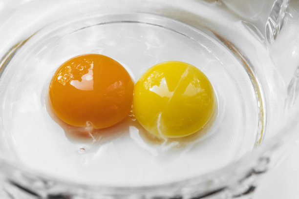 yolk