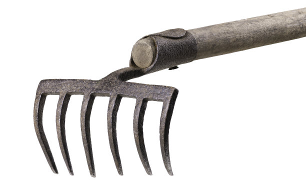 rake