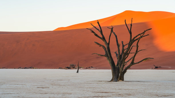 dune