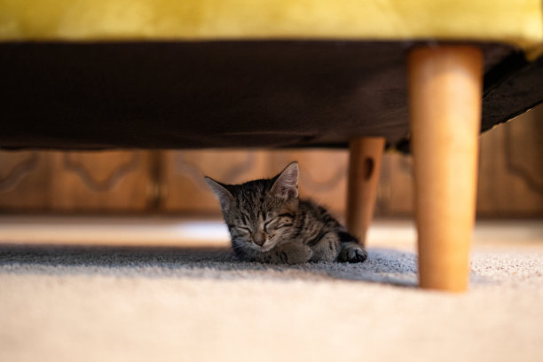 downstairs