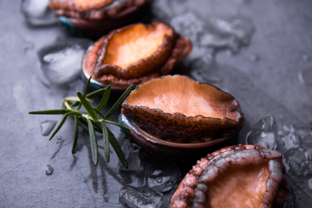 abalone