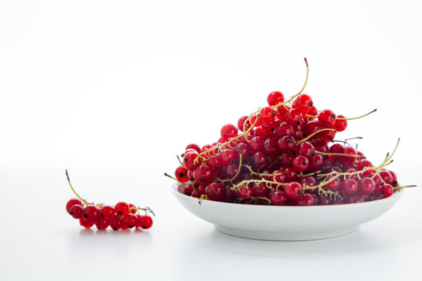 redcurrant