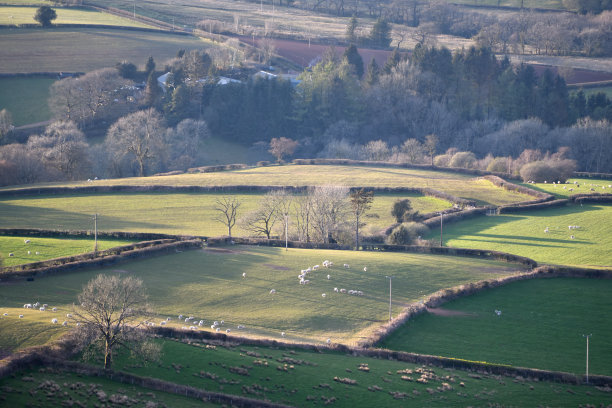 powys
