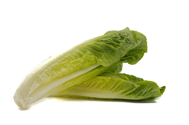 romaine