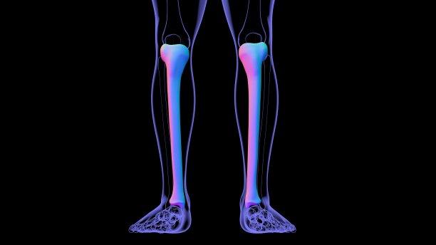 tibia
