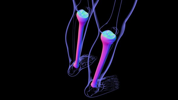 tibia