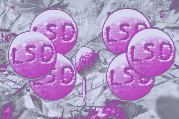 lsd