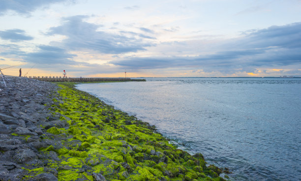 tide