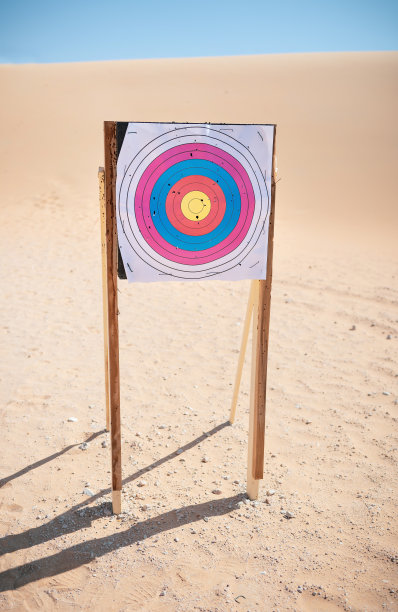 射击用靶纸
