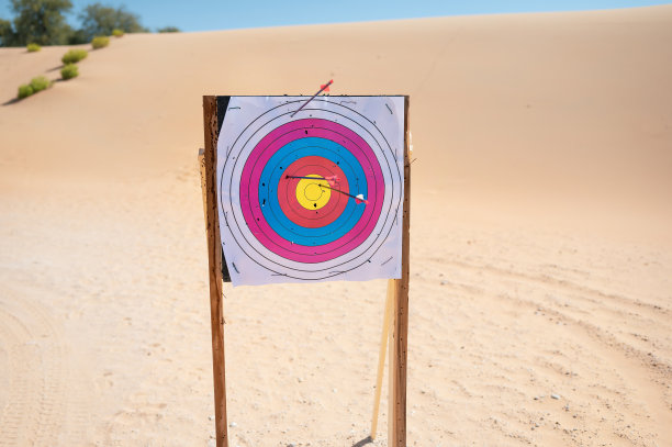 射击用靶纸