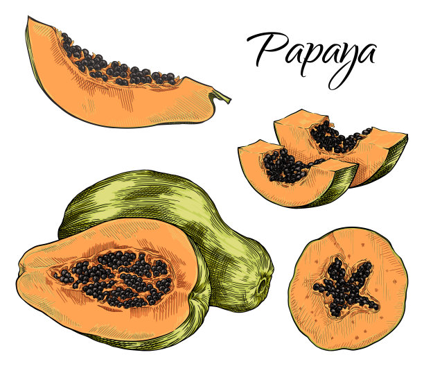 papaya