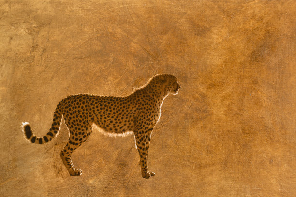 豹子动物油画