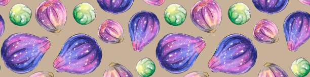 无花果插画包装