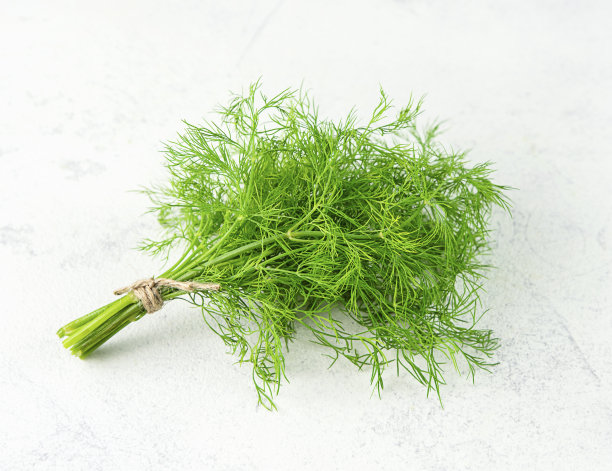 fennel