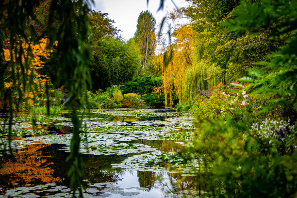monet