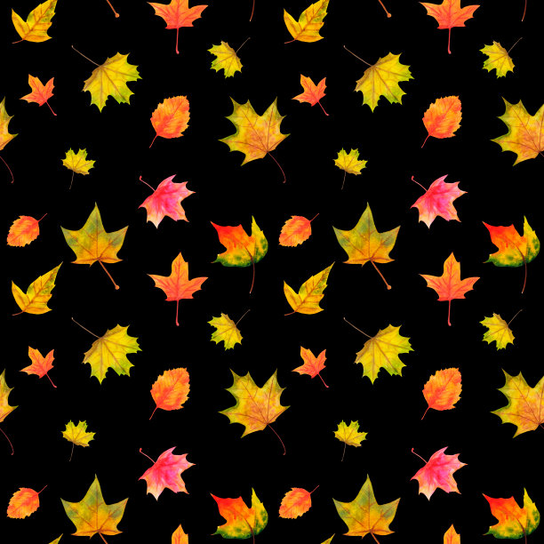 多彩秋季枫叶无缝图案
