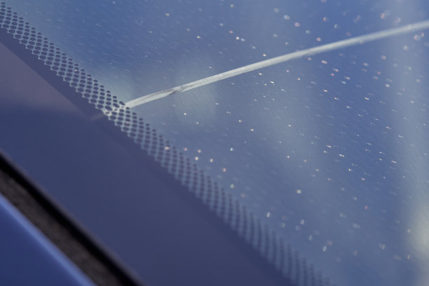 windshield