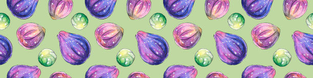 无花果插画包装