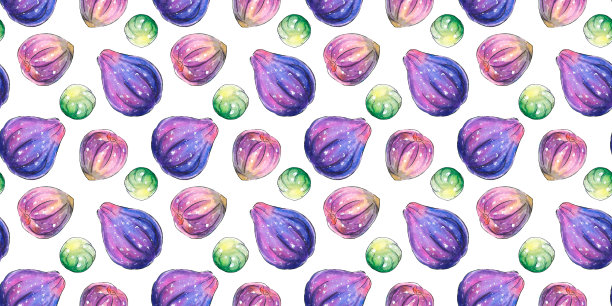 无花果插画包装