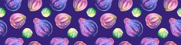 无花果插画包装