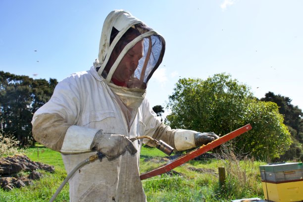 beekeeper