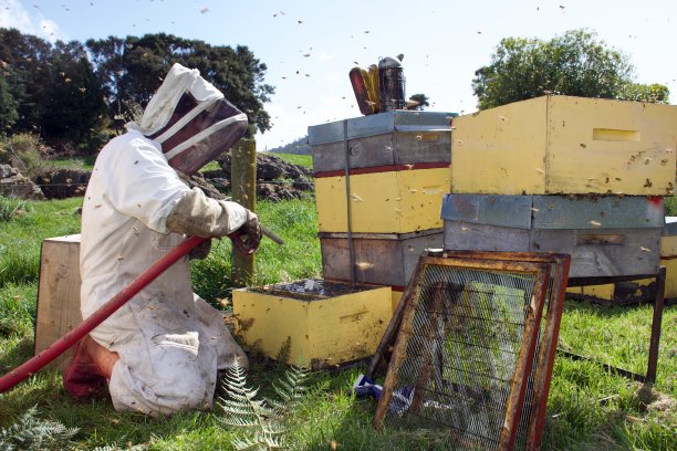 beekeeper