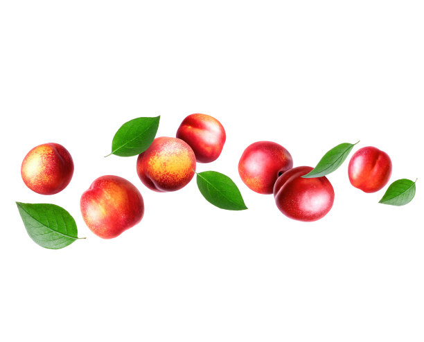 nectarines