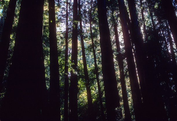 1995