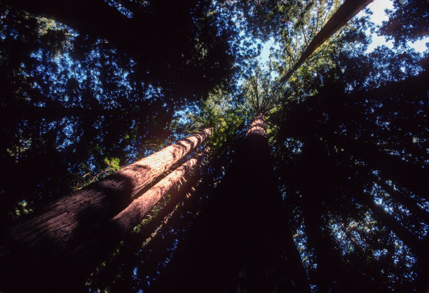 1995