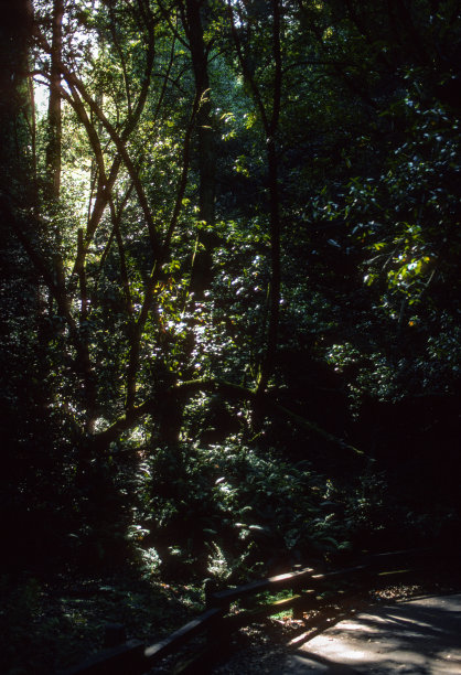 1995