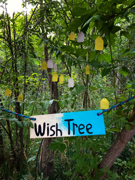 wish