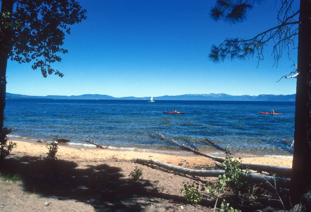1995