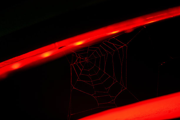 红web