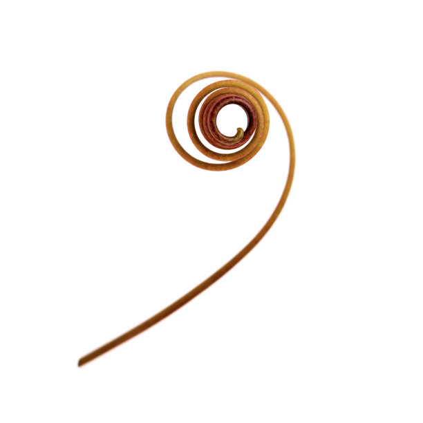 curl