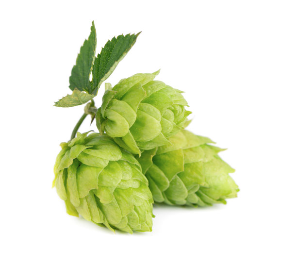 hop