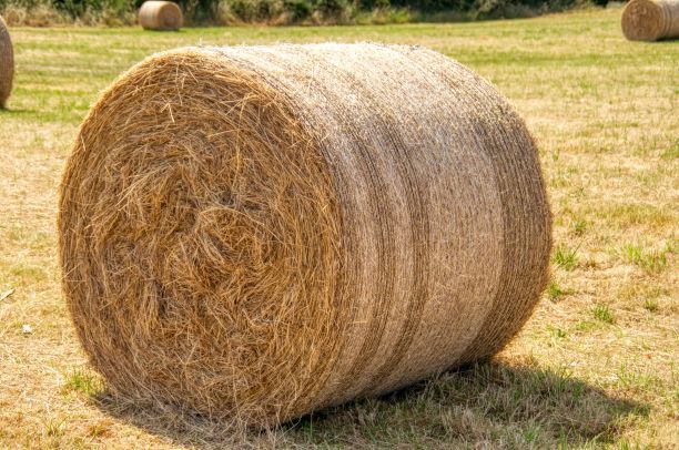 bale