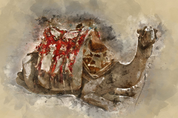 彩绘骆驼