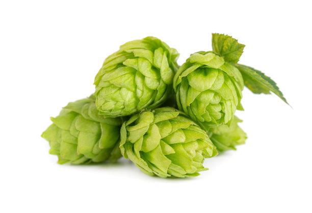 hop