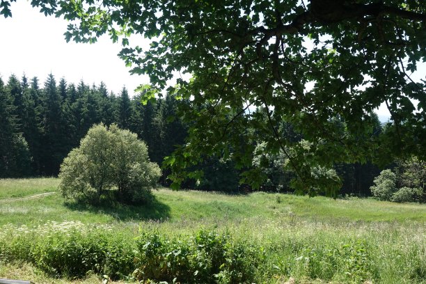rhön