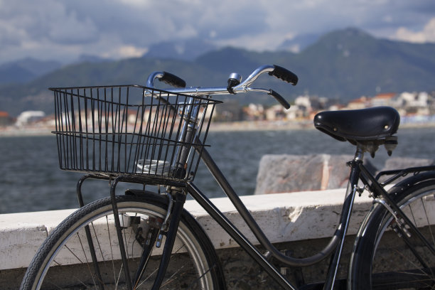 viareggio