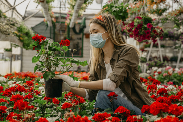 一个人植物苗圃18岁到19岁图片jpg原创高清图片素材 编号 红动中国 一个人植物苗圃18岁到19岁图片jpg原创高清图片素材 编号 红动中国